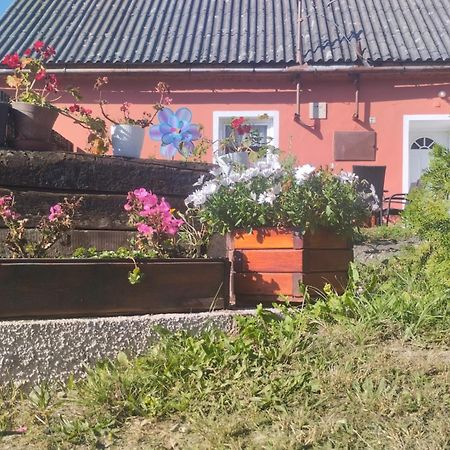Ubytovani U Machalu Villa Leskovec Nad Moravici Dış mekan fotoğraf