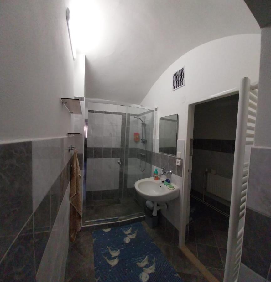 Ubytovani U Machalu Villa Leskovec Nad Moravici Dış mekan fotoğraf