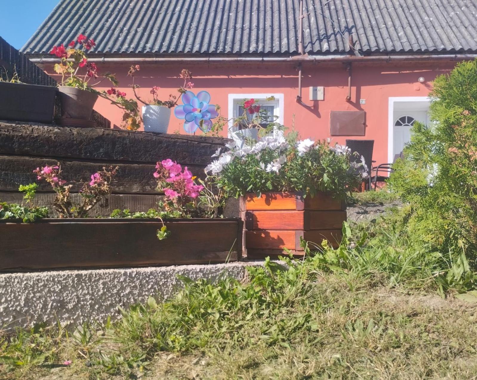 Ubytovani U Machalu Villa Leskovec Nad Moravici Dış mekan fotoğraf